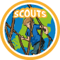 badge-scouts-4412decd93